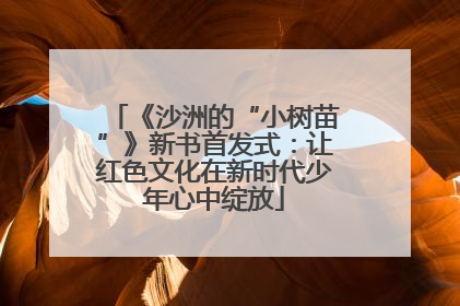 《沙洲的“小树苗”》新书首发式：让红色文化在新时代少年心中绽放