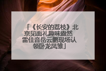 《长安的荔枝》北京见面礼趣味盎然 雷佳音岳云鹏现场认领卧龙凤雏