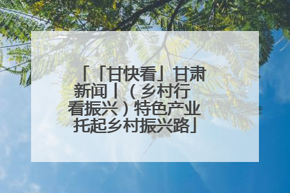 「甘快看」甘肃新闻丨（乡村行 看振兴）特色产业托起乡村振兴路