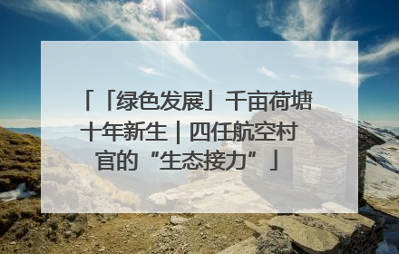 「绿色发展」千亩荷塘 十年新生｜四任航空村官的“生态接力”