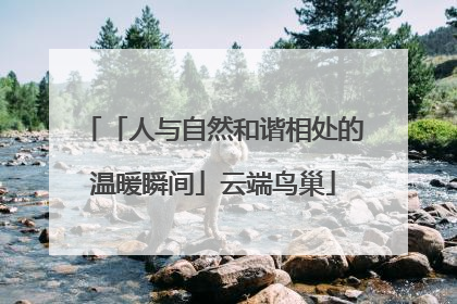 「人与自然和谐相处的温暖瞬间」云端鸟巢