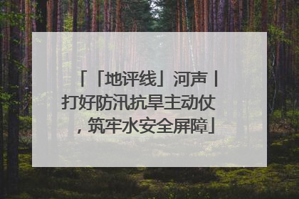 「地评线」河声丨打好防汛抗旱主动仗，筑牢水安全屏障