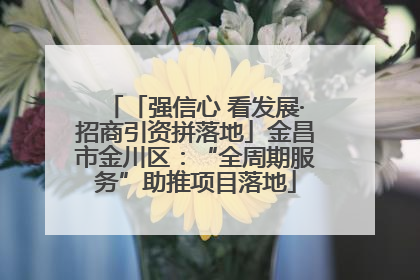 「强信心 看发展·招商引资拼落地」金昌市金川区：“全周期服务”助推项目落地
