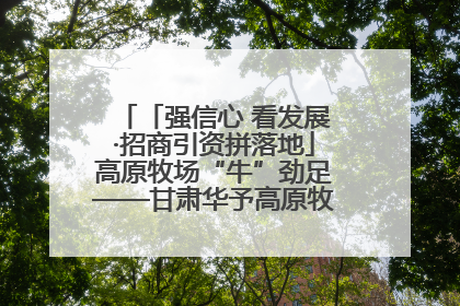 「强信心 看发展·招商引资拼落地」高原牧场“牛”劲足——甘肃华予高原牧场高标准奶牛肉牛养殖项目一线见闻