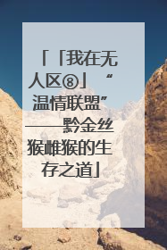 「我在无人区⑧」“温情联盟”——黔金丝猴雌猴的生存之道