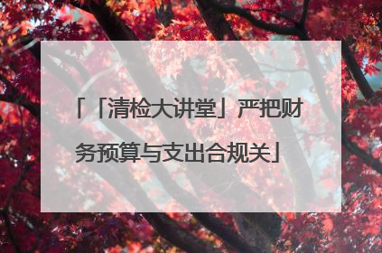 「清检大讲堂」严把财务预算与支出合规关