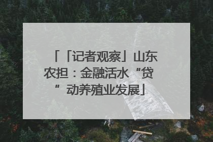 「记者观察」山东农担：金融活水“贷”动养殖业发展