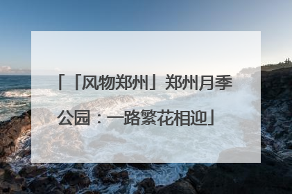「风物郑州」郑州月季公园：一路繁花相迎