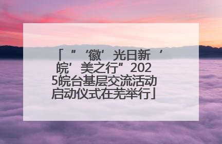 “‘徽’光日新‘皖’美之行”2025皖台基层交流活动启动仪式在芜举行