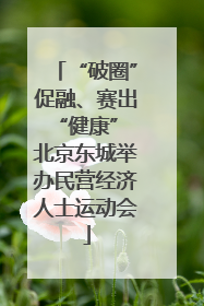 “破圈”促融、赛出“健康” 北京东城举办民营经济人士运动会