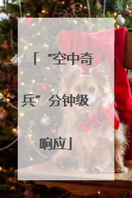 “空中奇兵”分钟级响应