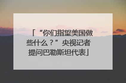 “你们指望美国做些什么？”央视记者提问巴勒斯坦代表