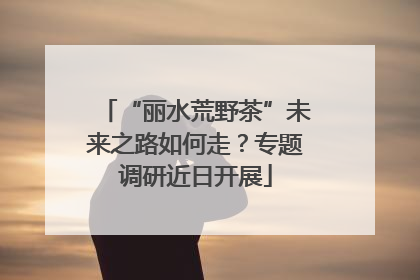 “丽水荒野茶”未来之路如何走？专题调研近日开展