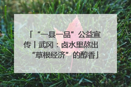 “一县一品”公益宣传丨武冈：卤水里熬出“草根经济”的醇香