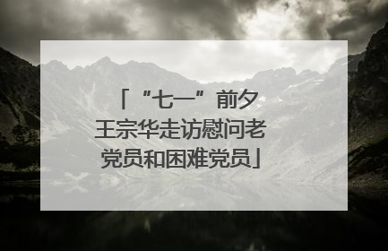 “七一”前夕 王宗华走访慰问老党员和困难党员
