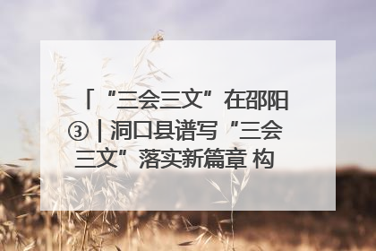 “三会三文”在邵阳③｜洞口县谱写“三会三文”落实新篇章 构建协同联动大格局