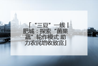 “三夏”一线丨肥城：探索“菌果蔬”轮作模式 助力农民增收致富