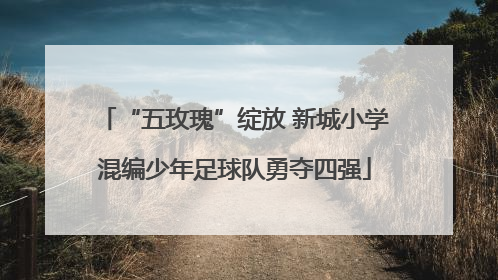 “五玫瑰”绽放 新城小学混编少年足球队勇夺四强