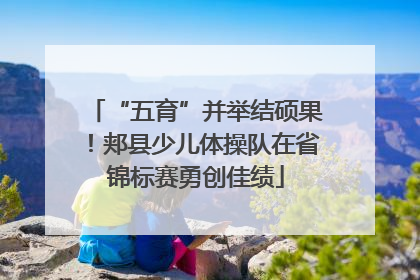 “五育”并举结硕果！郏县少儿体操队在省锦标赛勇创佳绩