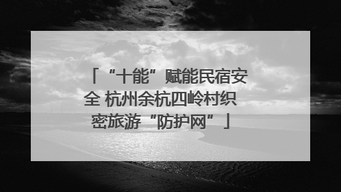 “十能”赋能民宿安全 杭州余杭四岭村织密旅游“防护网”