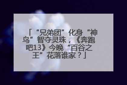 “兄弟团”化身“神鸟”智夺灵珠，《奔跑吧13》今晚“百谷之王”花落谁家？
