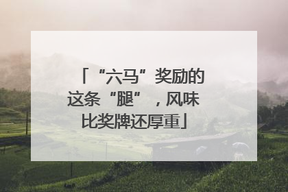 “六马”奖励的这条“腿”，风味比奖牌还厚重