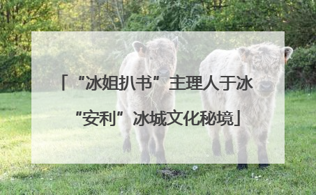 “冰姐扒书”主理人于冰“安利”冰城文化秘境