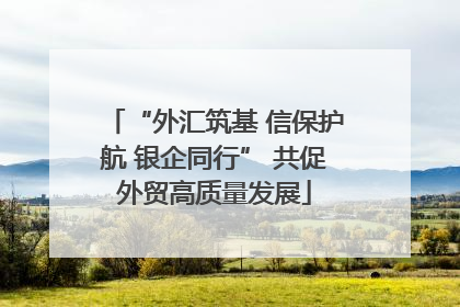 “外汇筑基 信保护航 银企同行” 共促外贸高质量发展