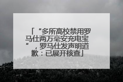 “多所高校禁用罗马仕两万毫安充电宝”，罗马仕发声明道歉：已展开核查