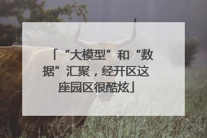 “大模型”和“数据”汇聚，经开区这座园区很酷炫