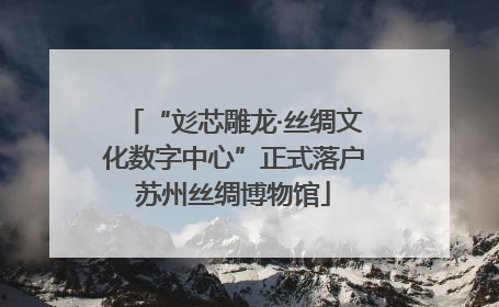 “彣芯雕龙·丝绸文化数字中心”正式落户苏州丝绸博物馆