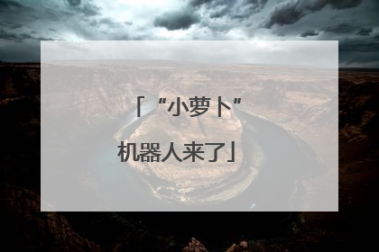 “小萝卜”机器人来了
