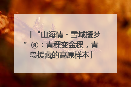 “山海情・雪域援梦”⑧：青稞变金稞，青岛援藏的高原样本