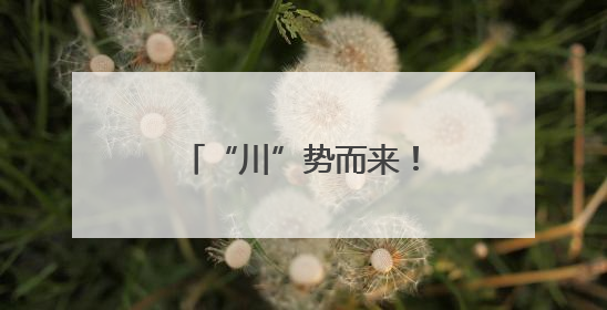 “川”势而来！第七届川籍农民工运动会燃动京城