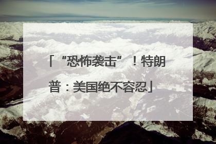 “恐怖袭击”！特朗普：美国绝不容忍