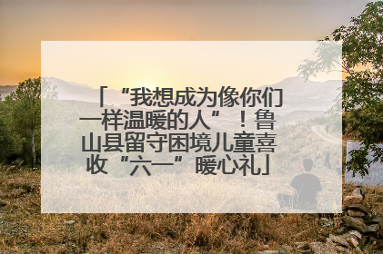 “我想成为像你们一样温暖的人”！鲁山县留守困境儿童喜收“六一”暖心礼