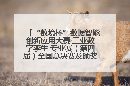 “数境杯”数据智能创新应用大赛·工业数字孪生 专业赛（第四届）全国总决赛及颁奖典礼成功举办