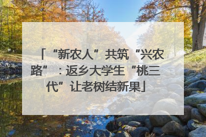 “新农人”共筑“兴农路”：返乡大学生“桃三代”让老树结新果