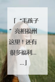 “毛孩子”亮相福州这里！还有很多福利……