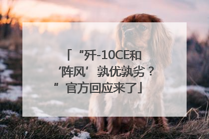 “歼-10CE和‘阵风’孰优孰劣？”官方回应来了