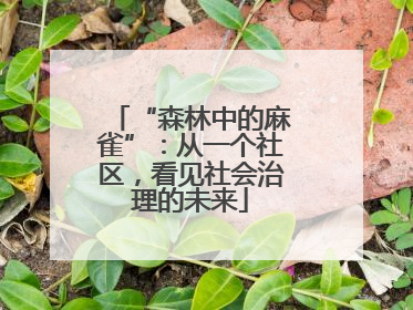 “森林中的麻雀”：从一个社区，看见社会治理的未来