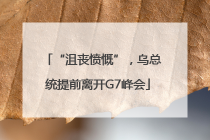 “沮丧愤慨”，乌总统提前离开G7峰会