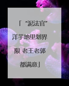 “泥法官”洋芋地里划界限 老王老郭都满意