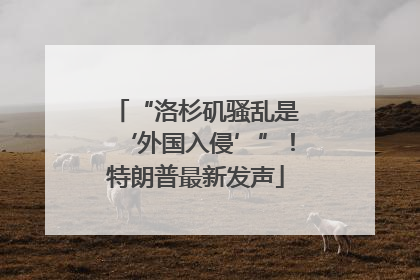 “洛杉矶骚乱是‘外国入侵’”！特朗普最新发声