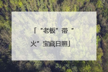 “老板”带“火”宝藏日照