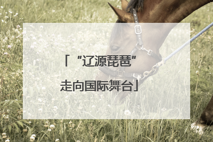 “辽源琵琶” 走向国际舞台