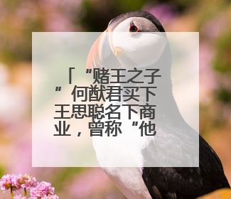 “赌王之子”何猷君买下王思聪名下商业，曾称“他一直是我的榜样”