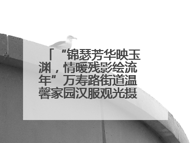 “锦瑟芳华映玉渊，情暖残影绘流年”万寿路街道温馨家园汉服观光摄影实践活动