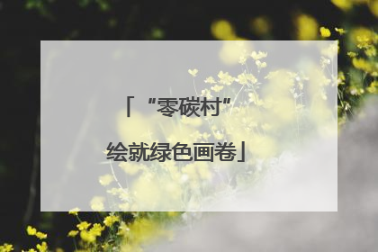 “零碳村” 绘就绿色画卷