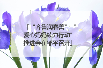 “齐鲁润春蕾”“爱心妈妈续力行动”推进会在邹平召开